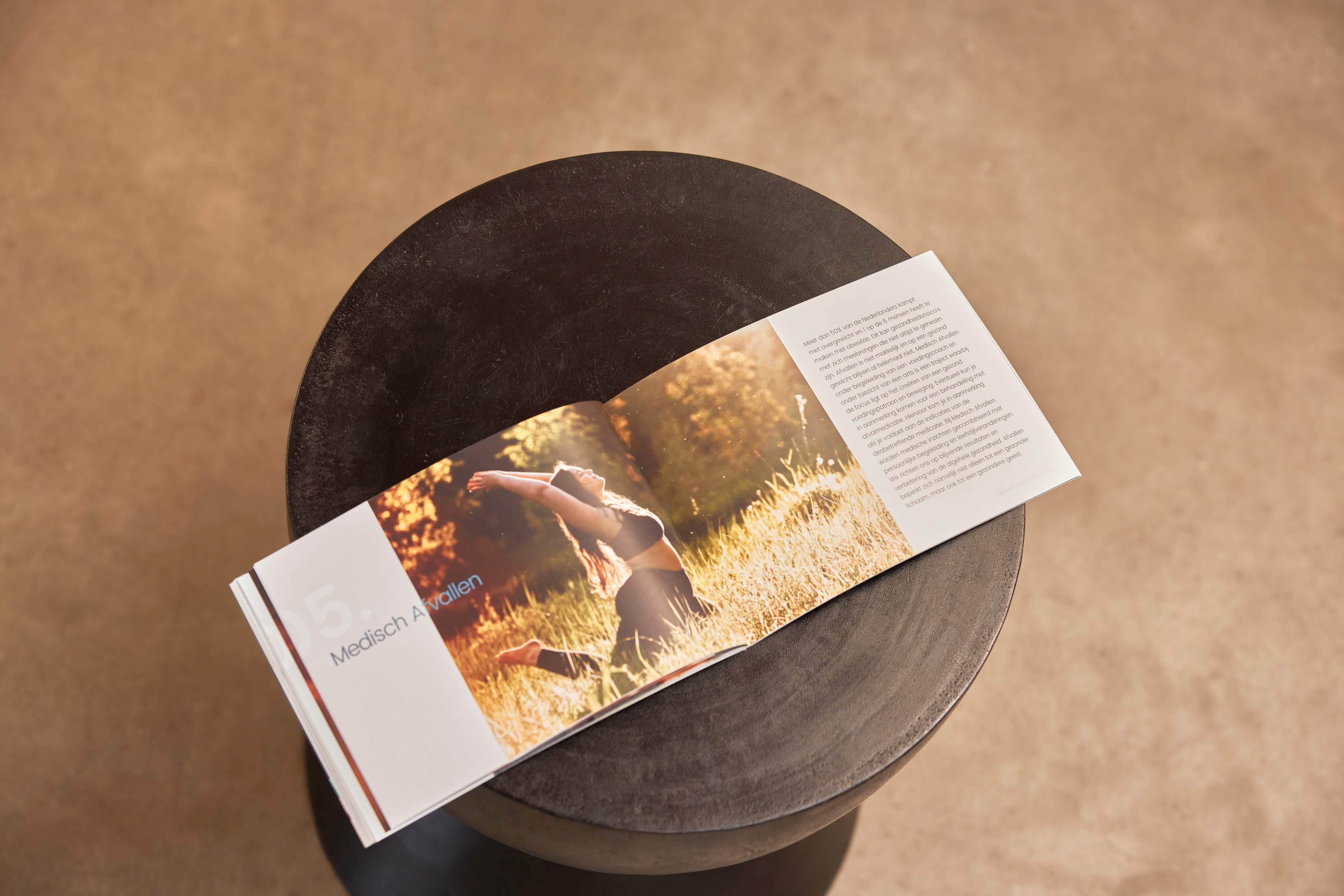 An open brochure with an elephant photo and text lies on a dark wooden stool.